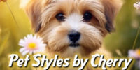 Pet Styles By Cherry