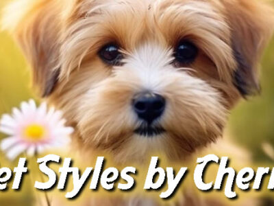 Pet Styles By Cherry